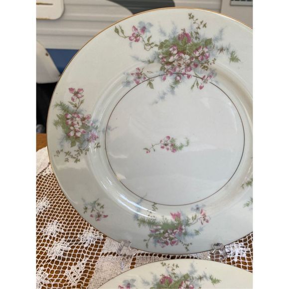 Theodore Haviland New York bread and butter plates. Apple Blossom pattern set of - Picture 4 of 5